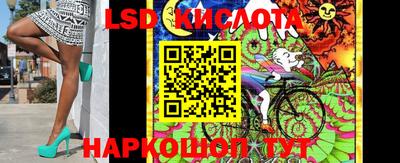 spice Славгород