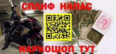 spice Славгород