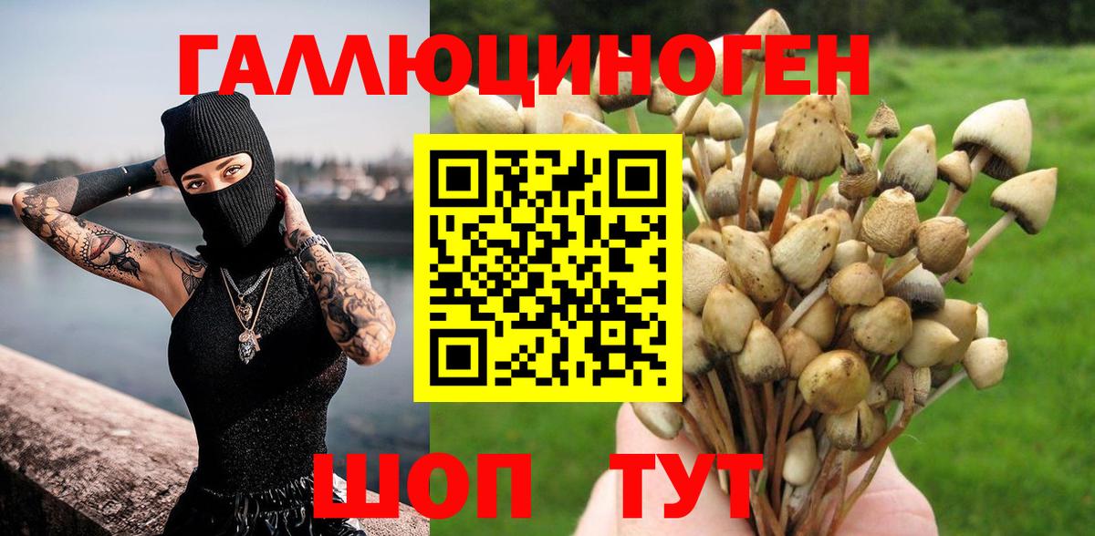 как найти закладки  Псилоцибиновые грибы мицелий  Вход с VPN  Мценск 