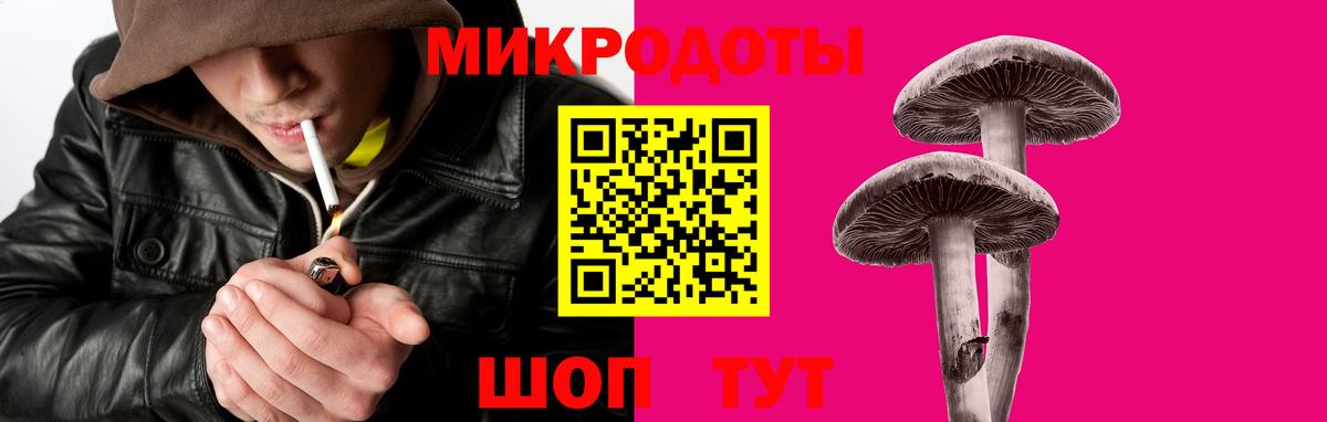 Псилоцибиновые грибы Cubensis Мценск